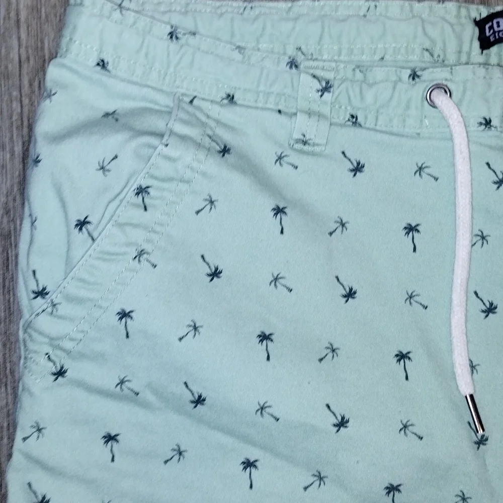 Company eigthy one men' s shorts Size 40 color mint. - Picture 4 of 6